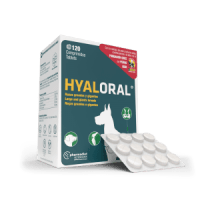 Hyaloral_Razas_Grandes_3D_Caja-con-sombra-1-300x300