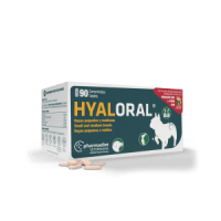 Hyaloral_Razas_Pequenas_3D_con-sombra-1-1-300x300