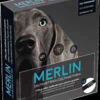 merlin