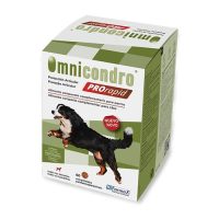 CONDROPROTECTOR