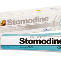 stomodine